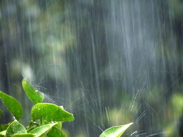 【つぶやき】ゲリラ豪雨で無理に走行しちゃうと。。。01