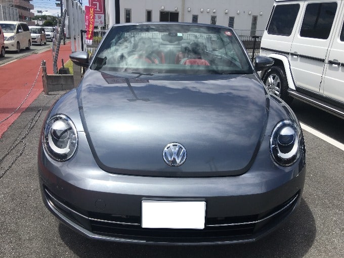 いろんなカブトムシ　集まってます！！！【VW　ザ・ビートル】01