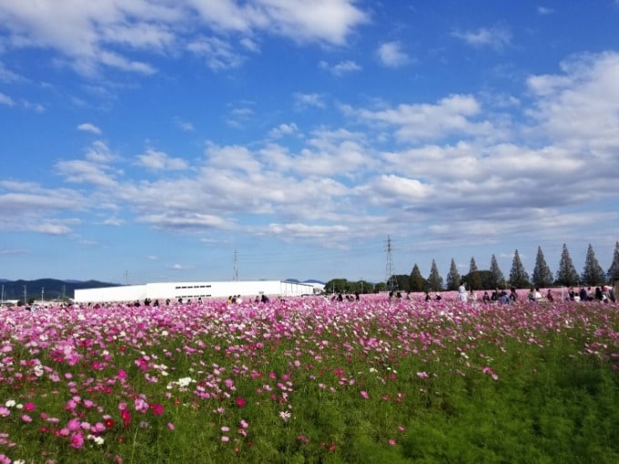 秋ですね01