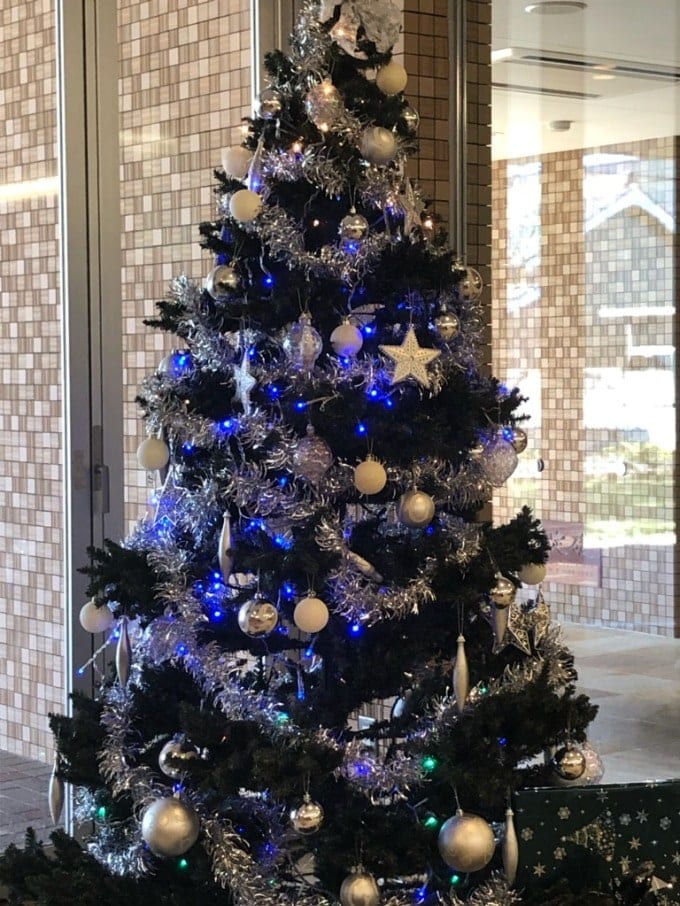 クリスマスシーズン到来ですね。01