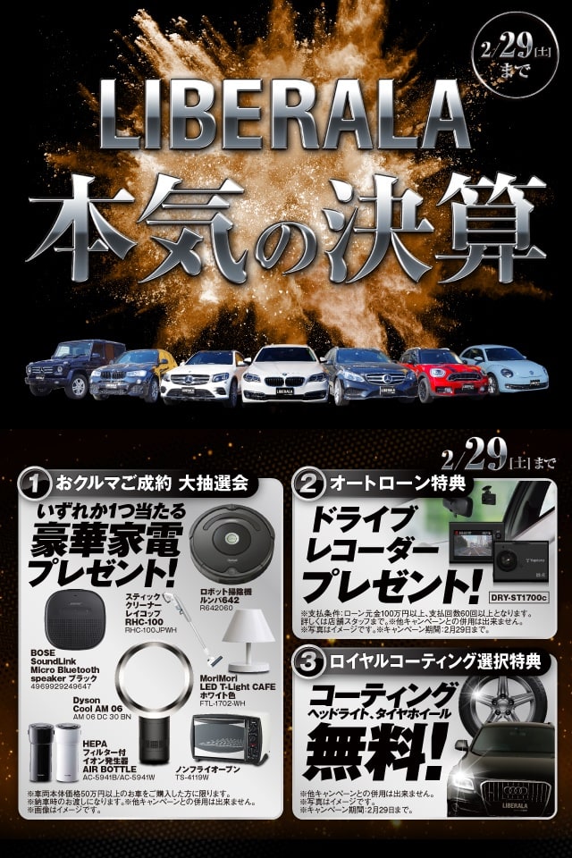 ＶＷ ザ・ビートル ミルク　２５０台限定車 入荷しました！03