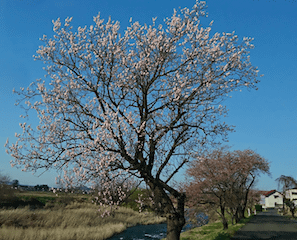 ☆4月になりました☆01