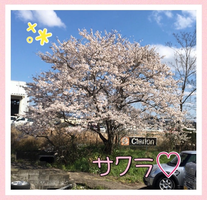 桜の季節♡♡01
