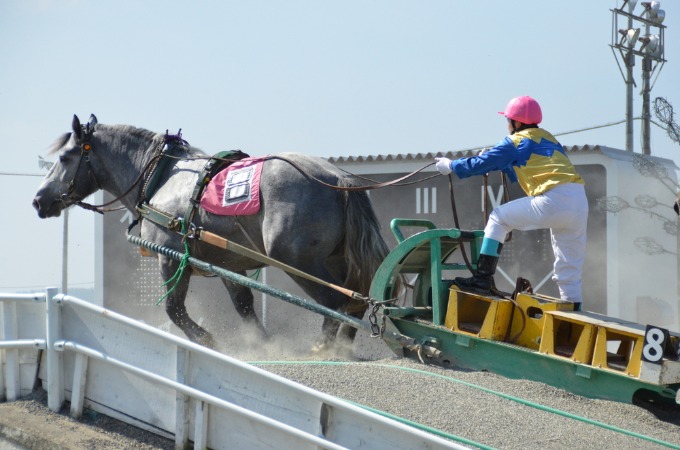 内林の北海道紹介No601