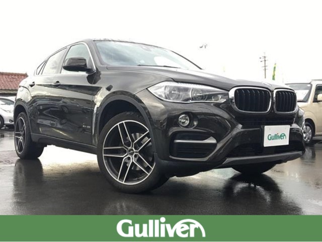 BMW X601