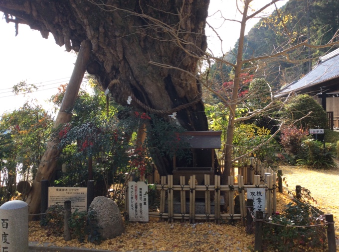 ♡ 葛城一言主神社へ ♡03