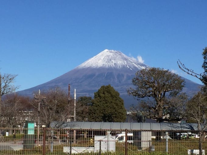 2021年！明けましておめでとうございます！01