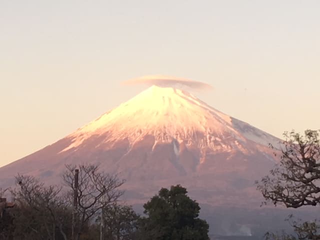 上尾の前に居た富士市での写真です＾＾02