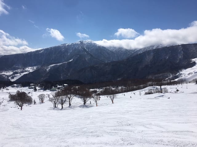 総決算セール最終日！！01