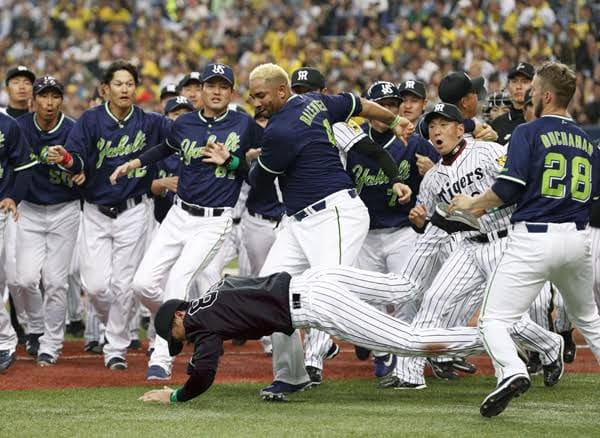 プロ野球開幕！！！！！01