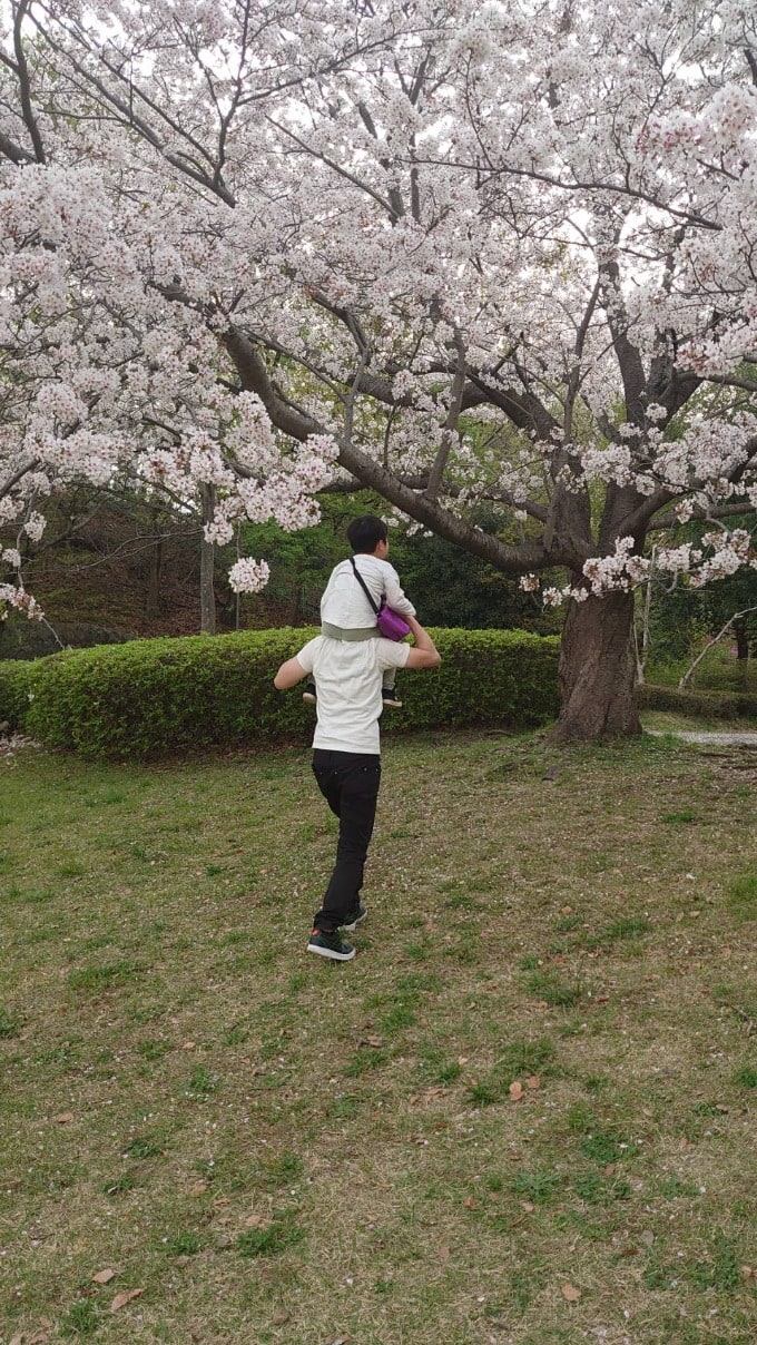 【成田の徒然日記】やはりこの時期は桜ですね。そして、お車選びもいかがでしょうか？02