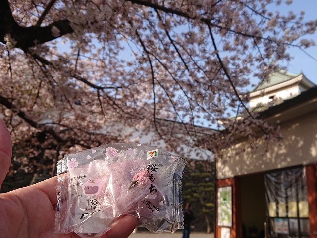 和歌山城の桜02