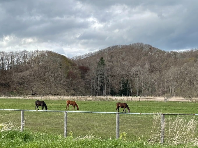 北海道っていいですね！02