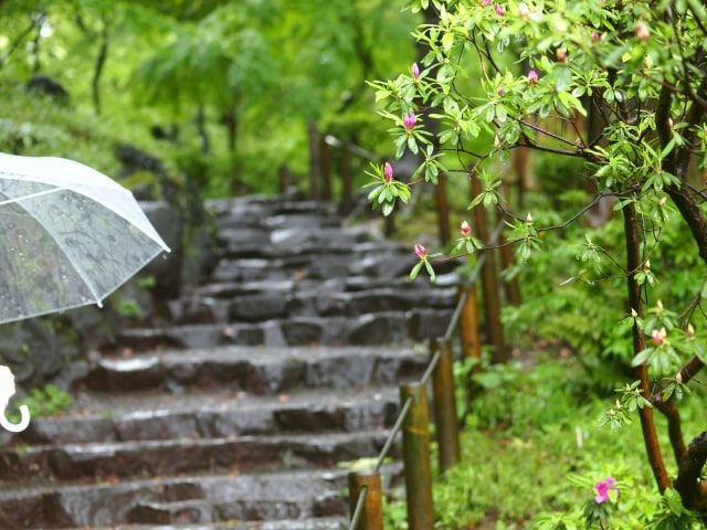 22日（月）みんな知ってる？雨の日の匂いの正体♪01