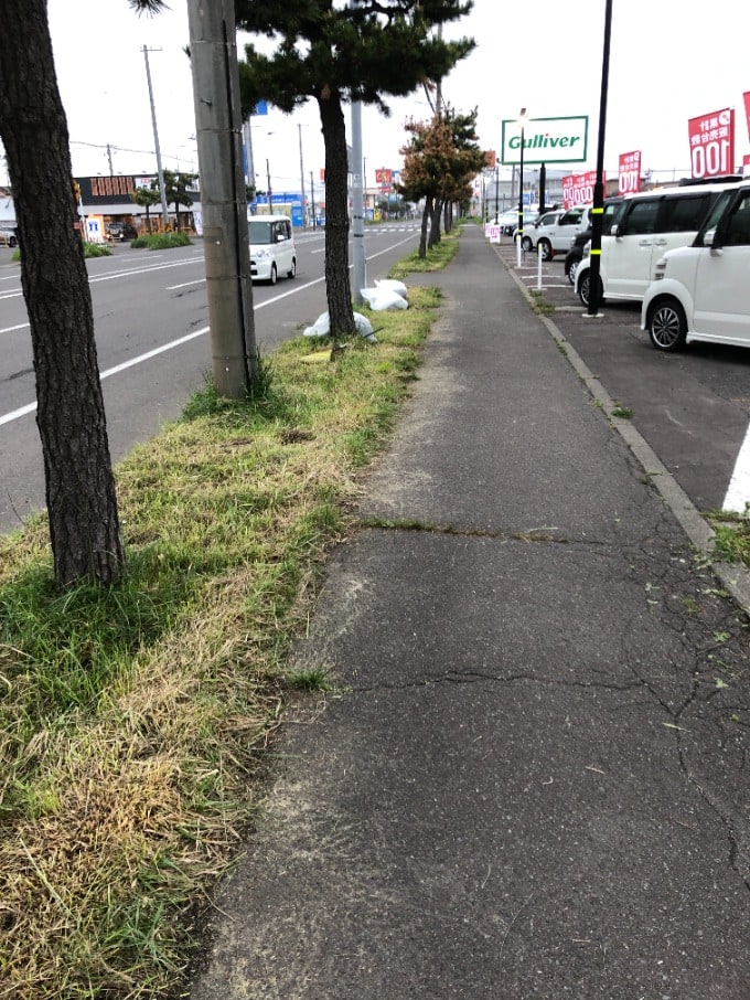 展示場の外縁が綺麗になりました！01