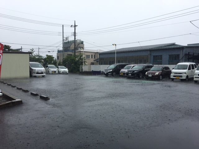 梅雨入りしましたね・・・・＾＾：01