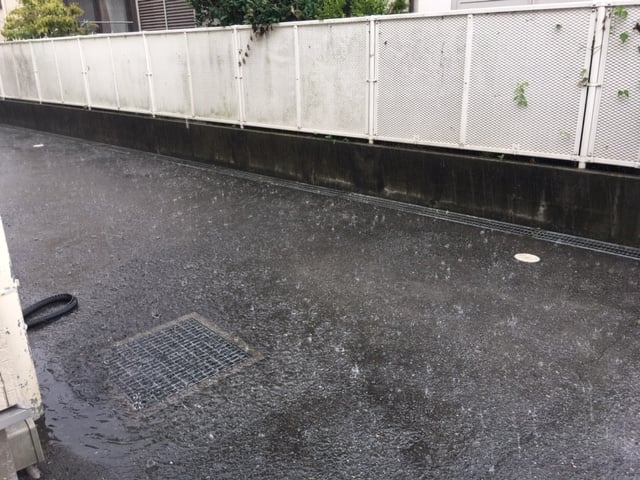 梅雨入りしましたね・・・・＾＾：02