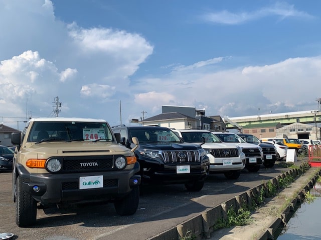 雑草を刈る 抜く 大掃除 車買取販売ならガリバー北名古屋店のスタッフのつぶやき G 中古車のガリバー