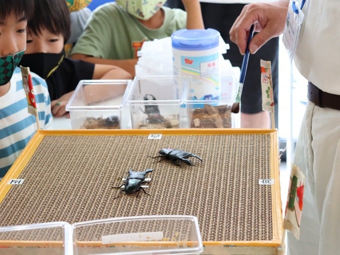 ガリバー大村　夏イベントカブトムシ釣り大会05