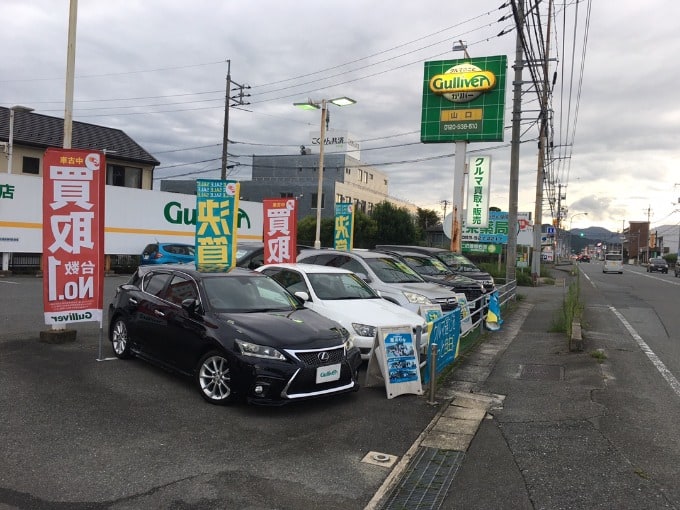 雨の中元気に営業しております。01