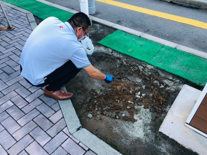 秋田新国道店で良いお店作りをするために草むしりしました！03