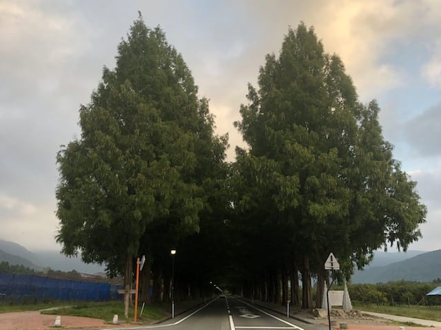 【慣らし運転】京都→滋賀編02