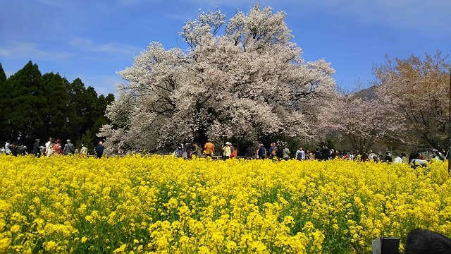 記憶に残る１枚！！01