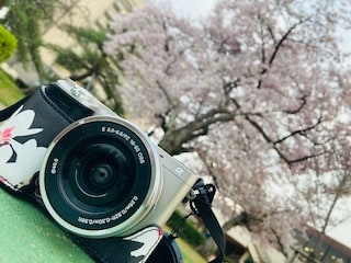 お花見に行きました！01