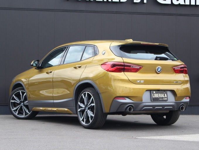 BMW X204