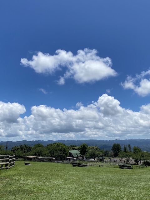 夏だ！今流行りの・・・♪02