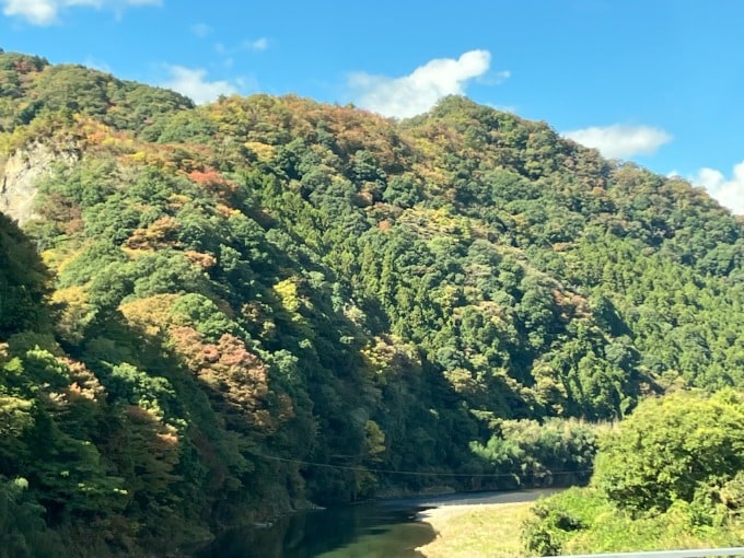 りんご狩りに行って参りました♫02