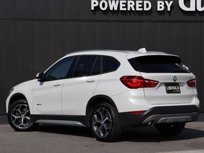 BMW X104