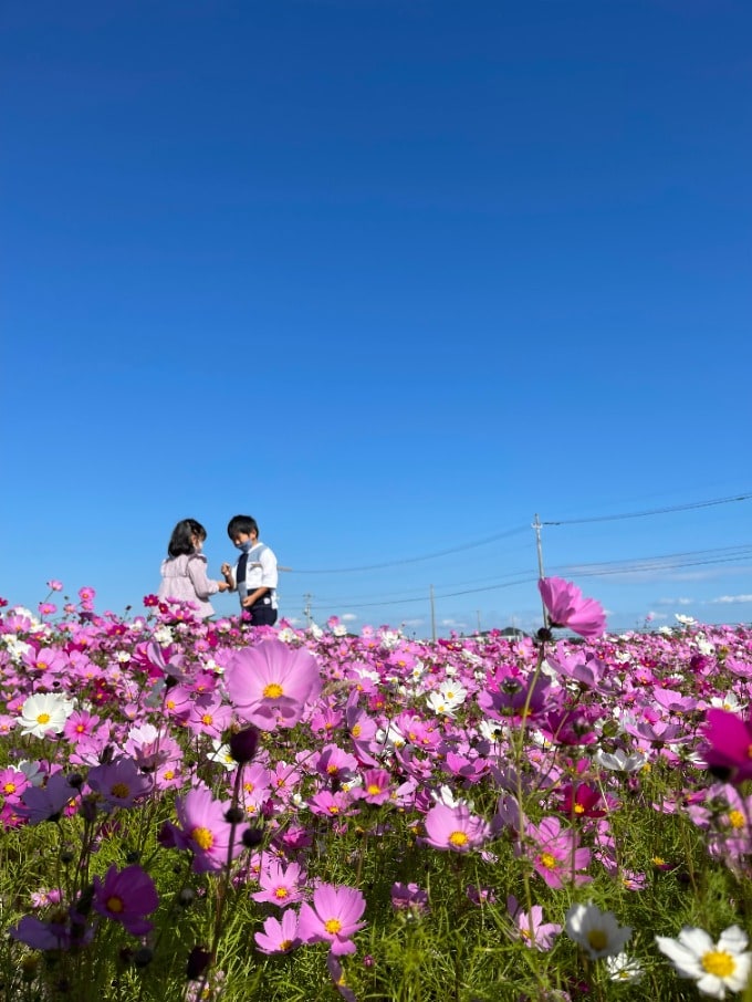 竹沢家の日常04