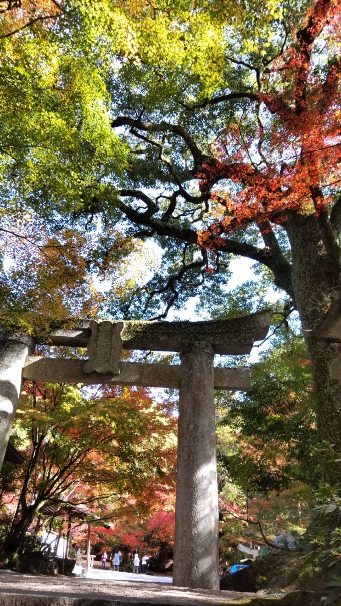 紅葉がきれい☆03