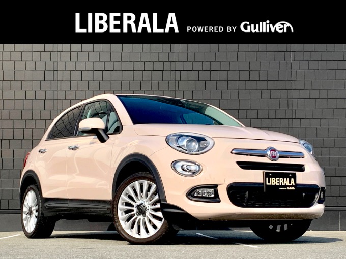 車両情報　500X01