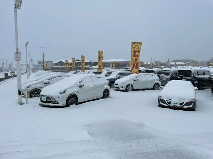 雪が積もってます！！！01