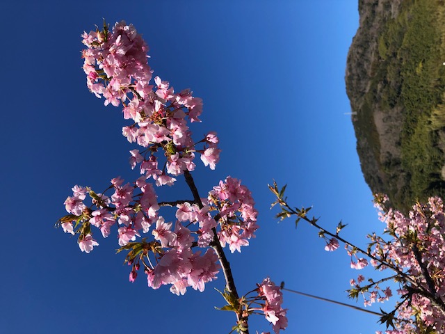 春ですね♪卒業シーズン！卒業おめでとうございます！これからの新生活楽しみですね♡新生活応援☆01