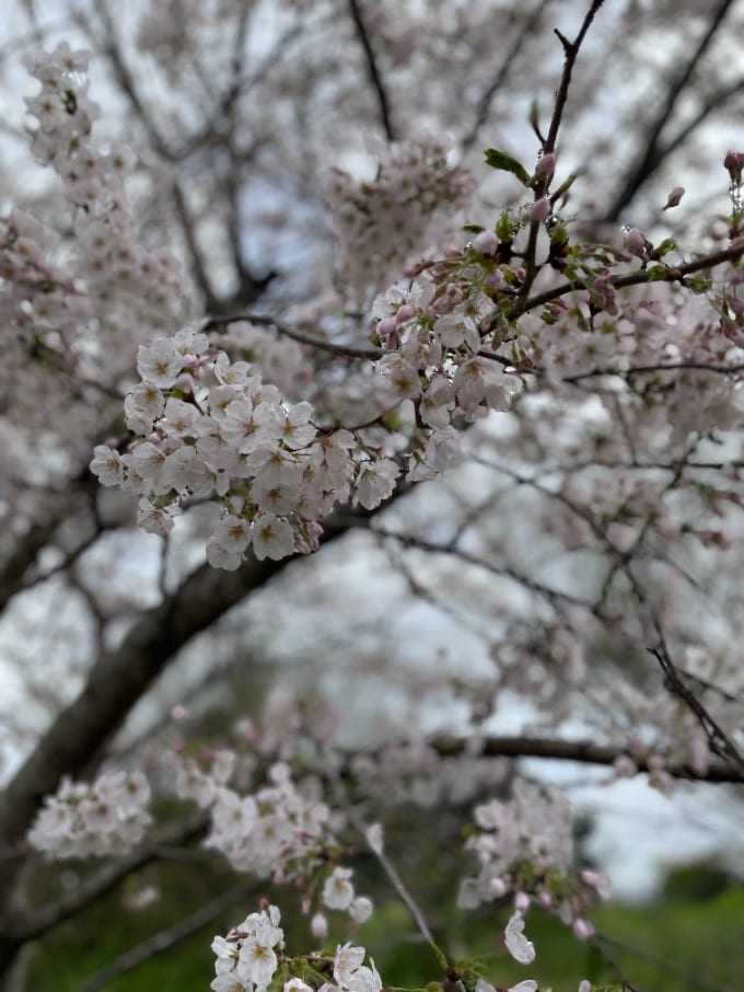 立花山に登りました♪01