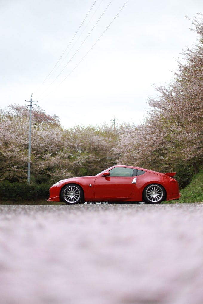 お花見スポットのご紹介！～今年も花見ができました（１）～04