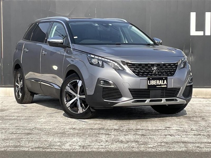 ”19 プジョー　500801