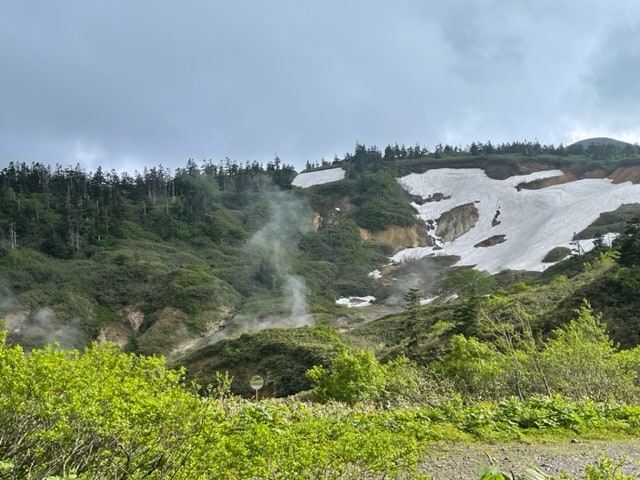 松本・岩手旅・花と景色編02