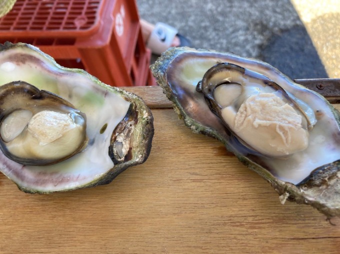 夏休み　思い出作り　BBQで岩牡蠣堪能　海のミルクはこれだ！！01