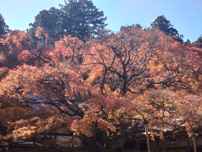 空気も景色も最高でした！02