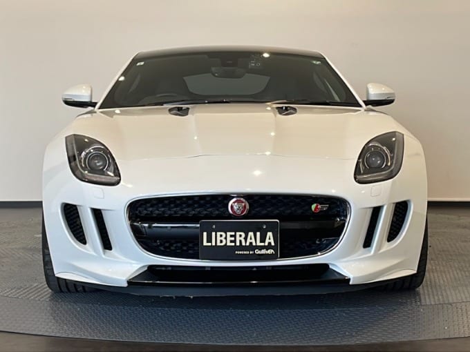 またまた入ってきました！01