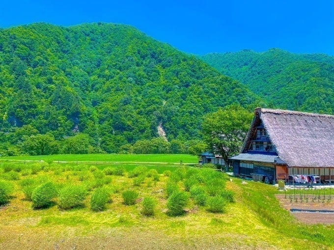 夏を感じる！　世界遺産！！01