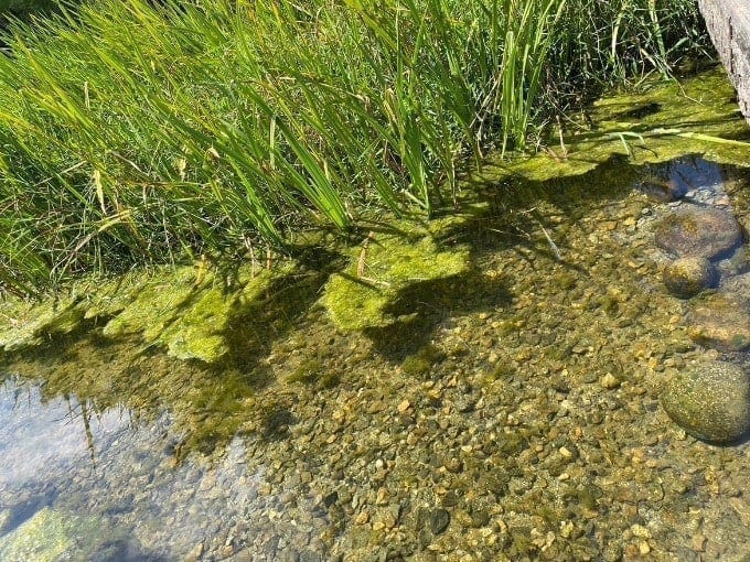 富山中央植物園に遊びに行ってきました！03