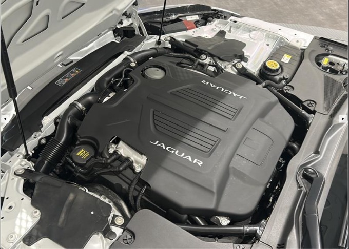 “美しい獣”がLIBERALA新潟に到着。03