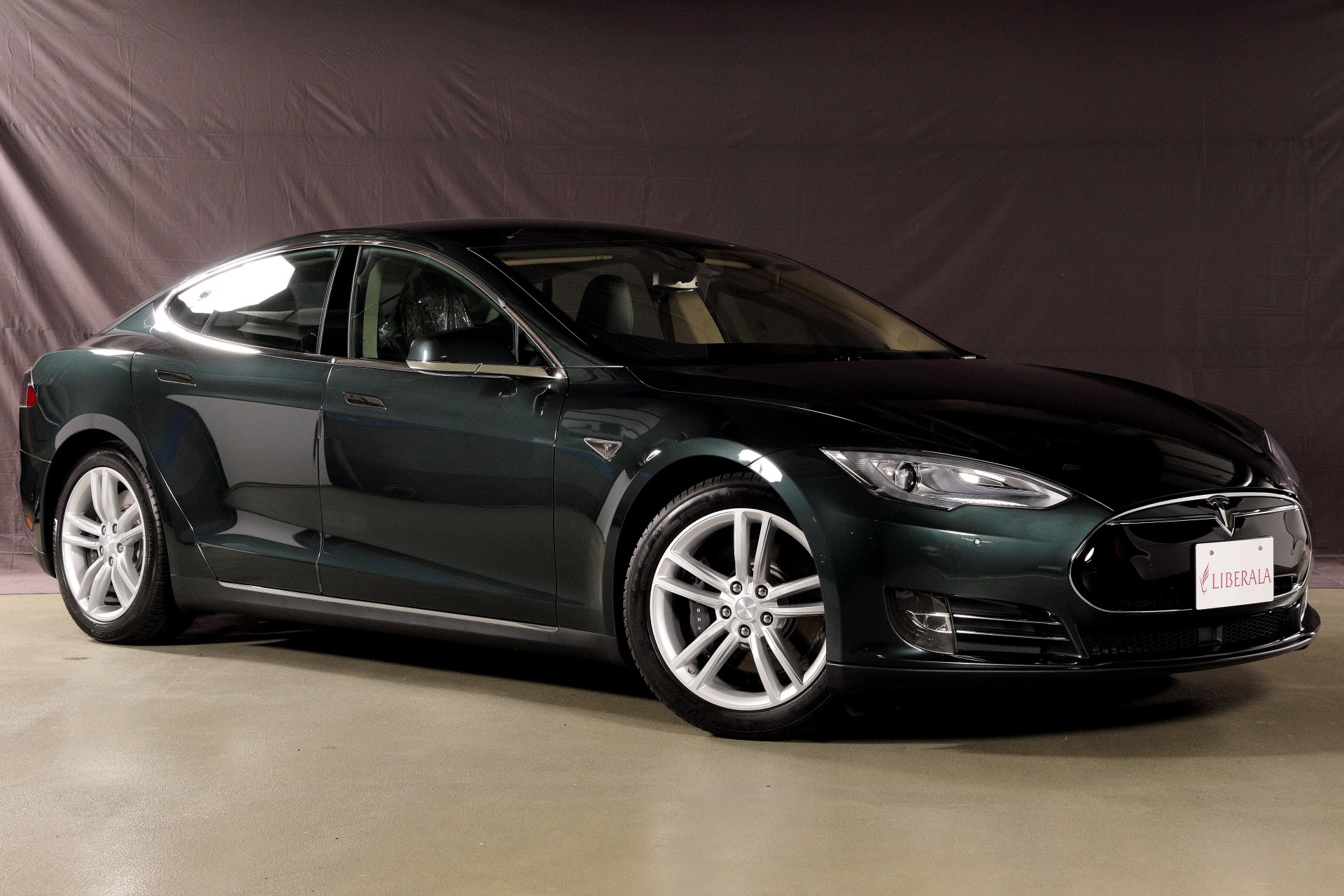 Ontwaken krassen bladeren Tesla Motors Model S (2014年式) 在庫詳細／4506 | LIBERALAでテスラモーターズ モデルSを検索