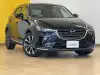 ＣＸ－３