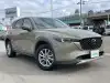 ＣＸ－５